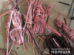 В Вознесенске «на горячем» поймали одессита, который воровал кабели электросвязи