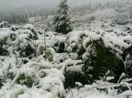 Доставай сноуборд: горнолыжный курорт Драгобрат засыпало снегом