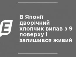 В Японии двухлетний мальчик выпал с 9-го этажа и остался жив