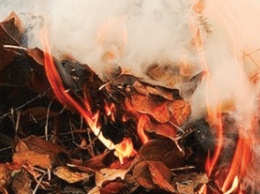 Запорожцы подвергаются опасности, сжигая листву