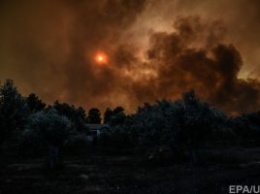 В Греции начался масштабный лесной пожар