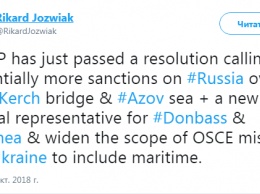 Европарламент принял проект резолюции по Азовскому морю, включающий ужесточение санкций против РФ