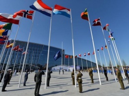 Европейские члены НАТО призвали США не денонсировать ДРСМД-87