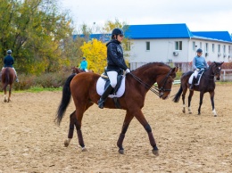 Спортивный Днепр: в городе прошел чемпионат по конному спорту