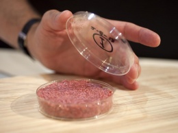 В США начнут массовую продажу искусственного мяса