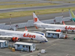 На борту упавшего в море пассажирского Boeing 737 находились десятки индонезийских чиновников
