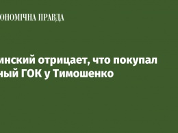 Новинский отрицает, что покупал Южный ГОК у Тимошенко