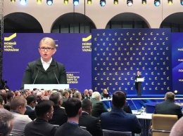 Тимошенко начала создавать военный кабинет и назвала утопией стандарты НАТО в ВСУ