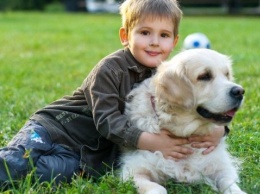 В Запорожье собаки помогают восстанавливаться детям