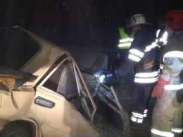 Под Киевом авто влетело в дерево: погибли двое жителей села Луговики