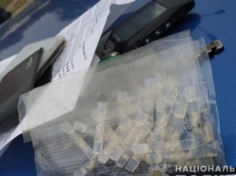 На Днепропетровщине разоблачили группу из девяти торговцев метамфетамином
