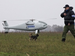 ОБСЕ не нашла на Донбассе обломки пропавшего беспилотника, следившего за колонной техники у границ РФ