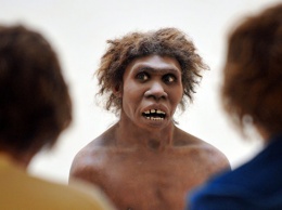 Ученые выяснили, как выглядела грудь у неандертальцев