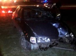 В Запорожье пьяный водитель сбил дорожные знаки (Фото)