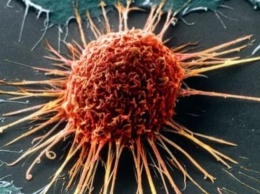 Онкологи определили самые действенные способы профилактики рака