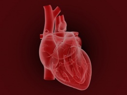 Вы действительно можете умереть от «разбитого» сердца. Объясняет кардиолог