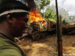 В Бразилии индейцы берут в руки оружие, чтобы спасти леса Амазонки