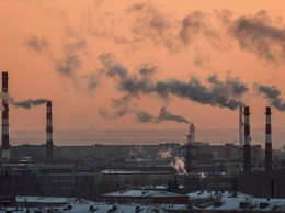 Экологи выяснили, как выбросы цементного завода влияют на леса и почву