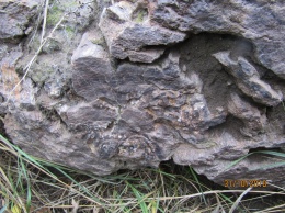 ООС: На линии соприкосновения обнаружены древние окаменелости, которые готовились к продаже