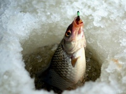 На Днепропетровщине рыбакам запретили ловить рыбу в зимовальных ямах