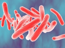 В Мелитополе жителей многоэтажек напугали угрожающие объявления о туберкулезе