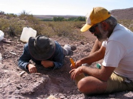 И снова Аргентина: палеонтологи обнаружили останки неизвестного ранее динозавра, который жил 110 миллионов лет назад