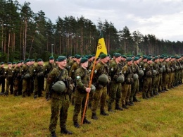 В Литве стартовали военные учения с участием украинских военнослужащих