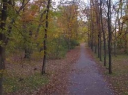 В сети показали красоту осеннего парка Филибера (видео)