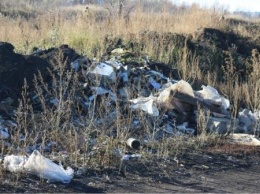 В Саранске оказались несколько новых незаконных свалок