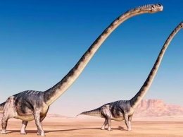 Палеонтологи нашли новый тип динозавра длиной около 12 метров