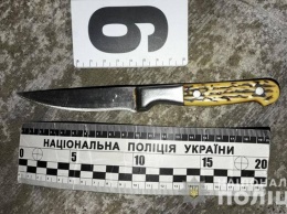 Под Одессой мужчина ранил 12-летнего племянника: преступник не смог объяснить свои действия