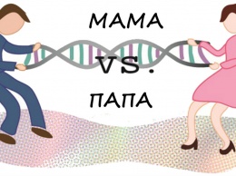 Какие генетические черты дети берут от мамы, а какие - от папы