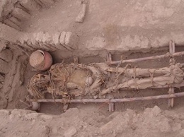 Генетики расшифровали ДНК древнейшей мумии Нового Света