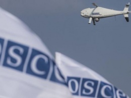 Почти 40 стран возлагают ответственность на Россию за исчезновение беспилотника ОБСЕ на Донбассе