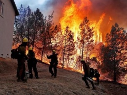 В Калифорнии эвакуировали 50 тысяч человек из-за лесного пожара