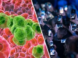 «Предупреждение о раке»: Ученые нашли «четкие доказательства» влияния смартфонов с 3G на развитие опухолей