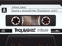 Animal ДжаZ - Тишина и волшебство - Tequilajazzz tribute