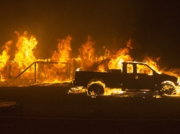 Пять человек погибли, 150 тысяч покинули дома из-за лесного пожара в Калифорнии