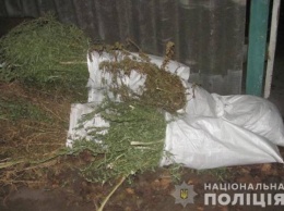 В Северодонецке полицейские изъяли у местного жителя 2 кг марихуаны