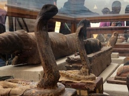 В Египте нашли гробницы с мумифицированными животными
