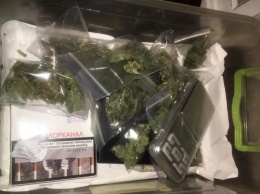 Полиция обнаружила теплицы с марихуаной и нарколаборатории в Киеве и Киевской области. Фото