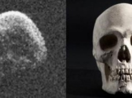 11 ноября астероид-череп опасно сблизится с Землей - ученые