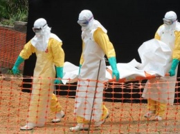 Вирус Эбола унес жизни более 200 человек в Республике Конго