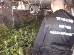 В Киеве действовал крупный наркокартель