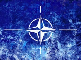 НАТО отказались признавать выборы в Донбассе