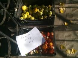 В Кривом Роге бесплатно раздают овощи и фрукты