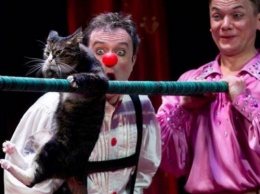 Театр кошек Куклачева приносит ему ежедневный доход в 200 тыс. рублей