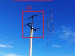 ДТЭК Днепровские электросети делают опоры линий электропередачи безопасными для птиц