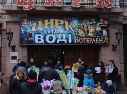 В Одессе опять пикетировали цирк