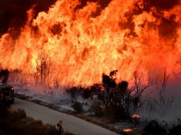 Трамп объявил Калифорнию зоной стихийного бедствия из-за бушующих в штате адских пожаров
